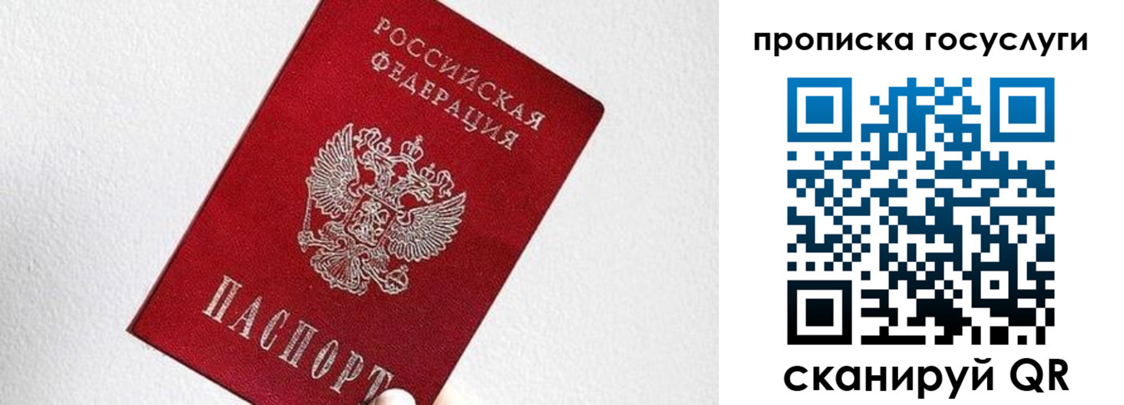прописка законно в Советской Гавани
